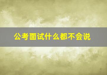 公考面试什么都不会说