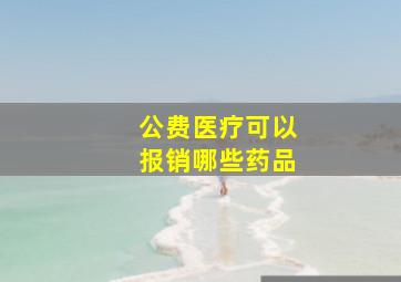 公费医疗可以报销哪些药品