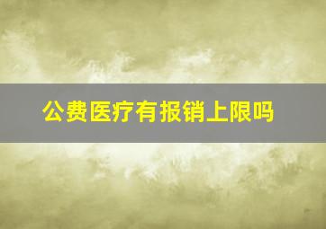 公费医疗有报销上限吗