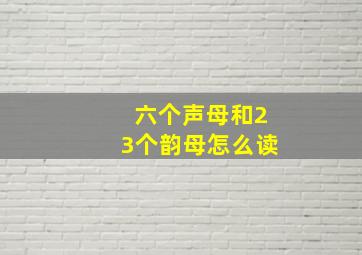 六个声母和23个韵母怎么读