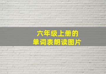 六年级上册的单词表朗读图片