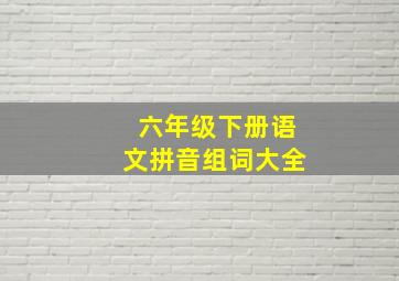 六年级下册语文拼音组词大全