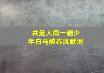 共赴人间一趟少年白马醉春风歌词