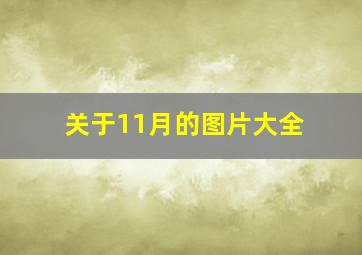 关于11月的图片大全