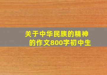 关于中华民族的精神的作文800字初中生