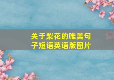 关于梨花的唯美句子短语英语版图片