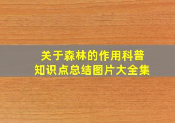 关于森林的作用科普知识点总结图片大全集