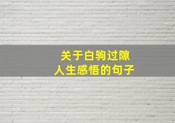 关于白驹过隙人生感悟的句子