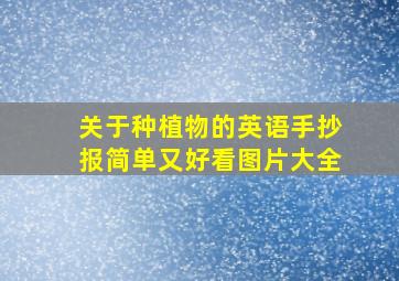 关于种植物的英语手抄报简单又好看图片大全