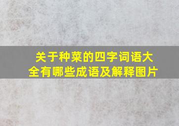 关于种菜的四字词语大全有哪些成语及解释图片