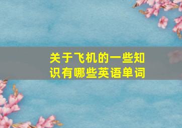 关于飞机的一些知识有哪些英语单词