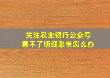 关注农业银行公众号看不了明细账单怎么办