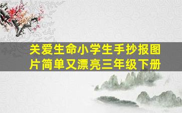 关爱生命小学生手抄报图片简单又漂亮三年级下册