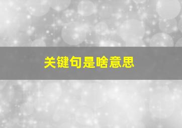 关键句是啥意思