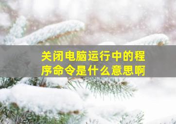 关闭电脑运行中的程序命令是什么意思啊