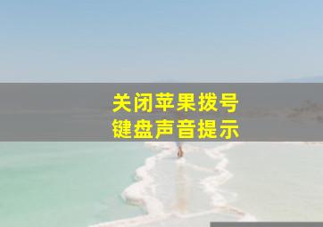 关闭苹果拨号键盘声音提示