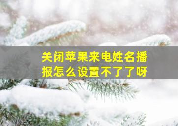 关闭苹果来电姓名播报怎么设置不了了呀