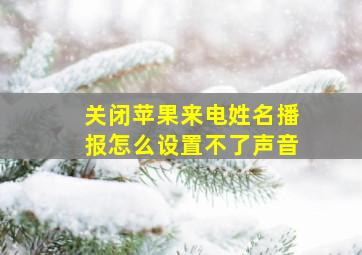 关闭苹果来电姓名播报怎么设置不了声音