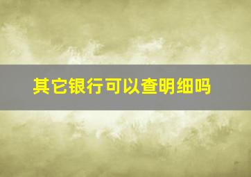 其它银行可以查明细吗