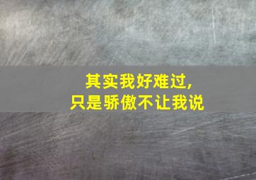 其实我好难过,只是骄傲不让我说