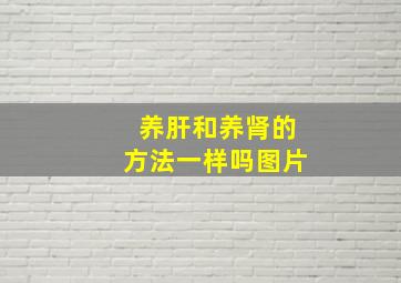 养肝和养肾的方法一样吗图片