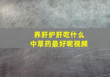 养肝护肝吃什么中草药最好呢视频