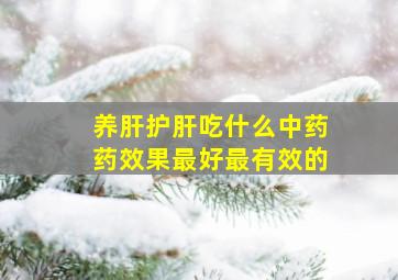 养肝护肝吃什么中药药效果最好最有效的