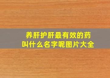 养肝护肝最有效的药叫什么名字呢图片大全