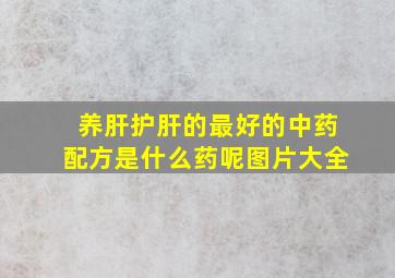 养肝护肝的最好的中药配方是什么药呢图片大全