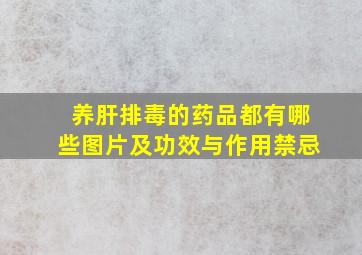 养肝排毒的药品都有哪些图片及功效与作用禁忌