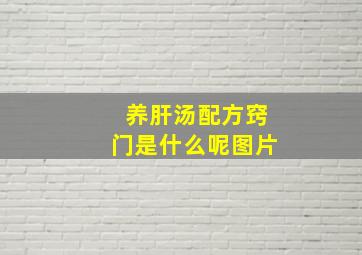 养肝汤配方窍门是什么呢图片