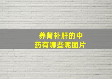 养肾补肝的中药有哪些呢图片