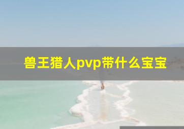 兽王猎人pvp带什么宝宝