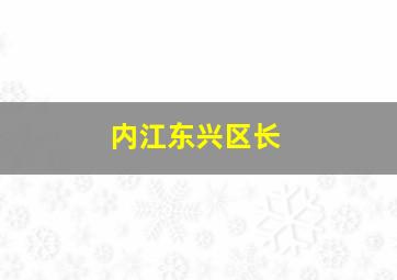 内江东兴区长