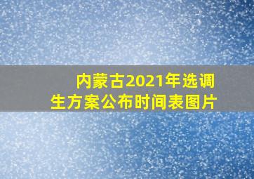 内蒙古2021年选调生方案公布时间表图片