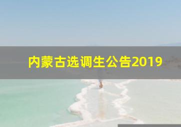 内蒙古选调生公告2019