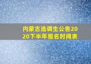 内蒙古选调生公告2020下半年报名时间表