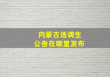 内蒙古选调生公告在哪里发布