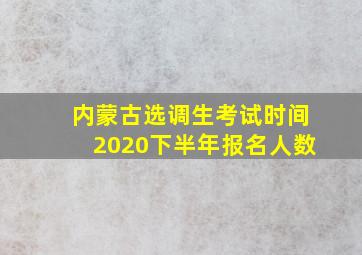 内蒙古选调生考试时间2020下半年报名人数