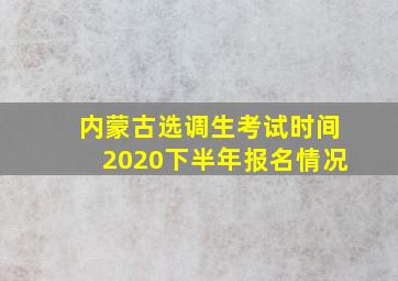 内蒙古选调生考试时间2020下半年报名情况