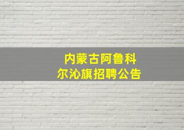 内蒙古阿鲁科尔沁旗招聘公告