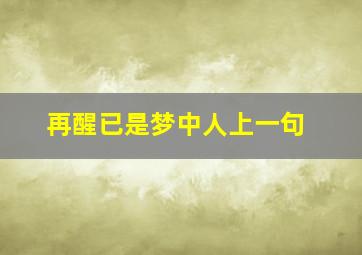 再醒已是梦中人上一句