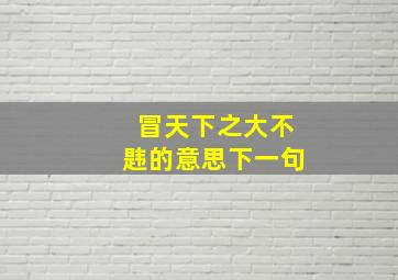 冒天下之大不韪的意思下一句