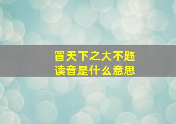 冒天下之大不韪读音是什么意思