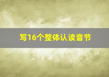 写16个整体认读音节