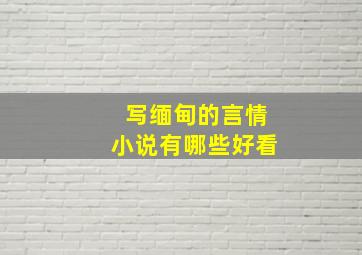 写缅甸的言情小说有哪些好看