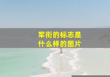 军衔的标志是什么样的图片