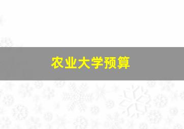 农业大学预算