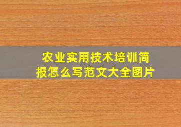 农业实用技术培训简报怎么写范文大全图片