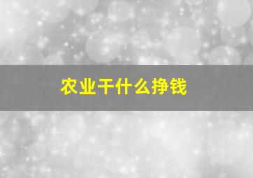 农业干什么挣钱